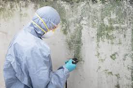 Best Crawl Space Mold Remediation in Fairmount, NY